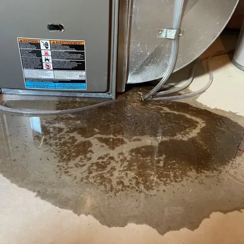 Appliance Leak Cleanup in Holmen, WI